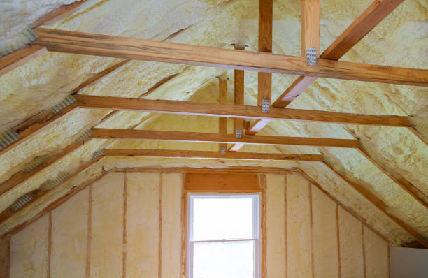 Best Cellulose Insulation in Bronson, FL