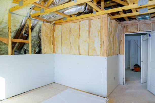 Best Eco-Friendly Insulation in Bronson, FL