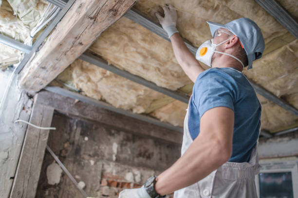 Best Spray Foam Insulation in Bronson, FL