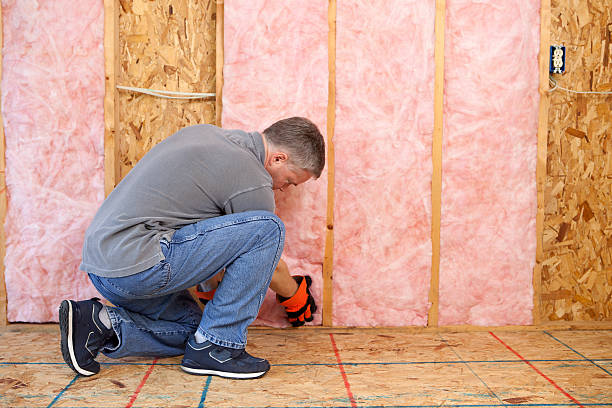 Best Insulation Maintenance and Repair in Bronson, FL