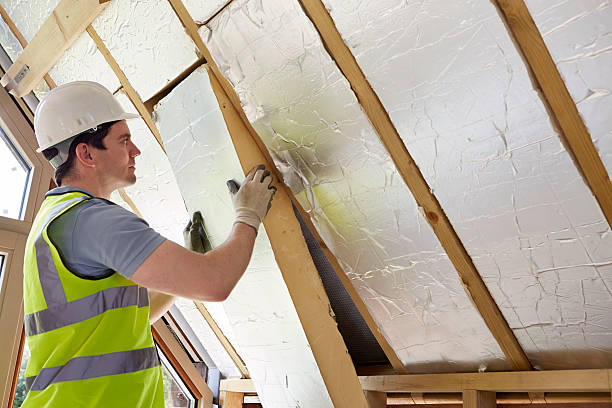 Best Specialized Insulation Services in Bronson, FL