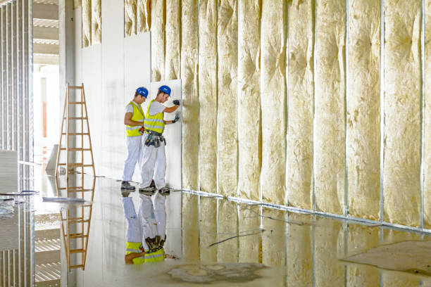 Types of Insulation We Offer in Bronson, FL